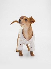 Flannel Pet PJs | Gap (US)