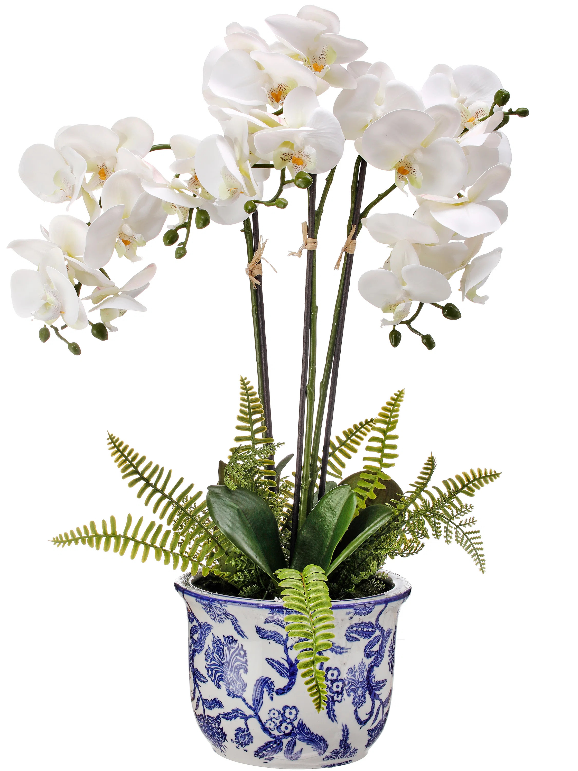 Primrue Orchid Arrangement in Chinoiserie Pot | Wayfair | Wayfair North America