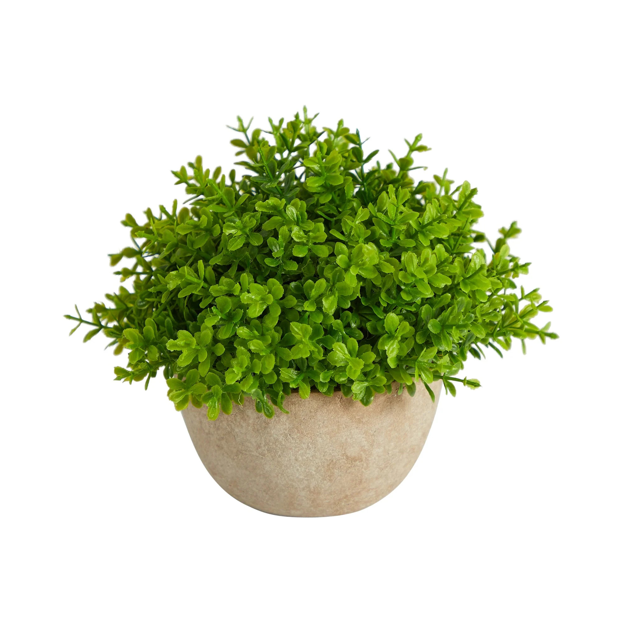 5\u201d Boxwood Artificial Plant in Decorative Planter | Nearly Natural | Nearly Natural