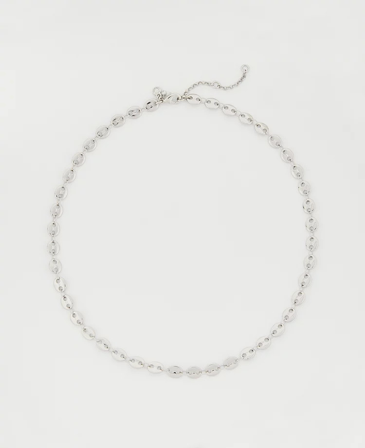 Delicate Chain Necklace | Ann Taylor (US)