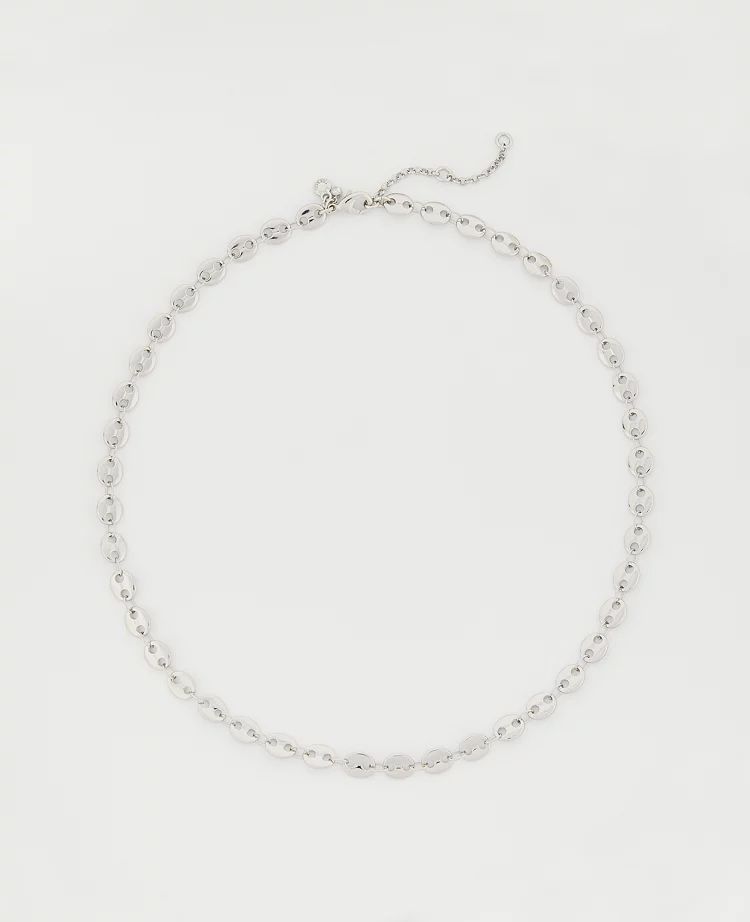 Delicate Chain Necklace | Ann Taylor (US)