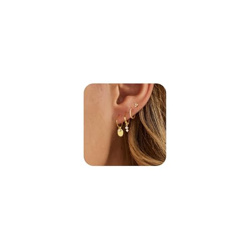 Gold Hoop Earrings for Women,Gold Plated Dangle Earrings Stack Dainty Cartilage Chain Earrings Set Small Huggie Hoop Earrings for Women Trendy Jewelry | Amazon (US)