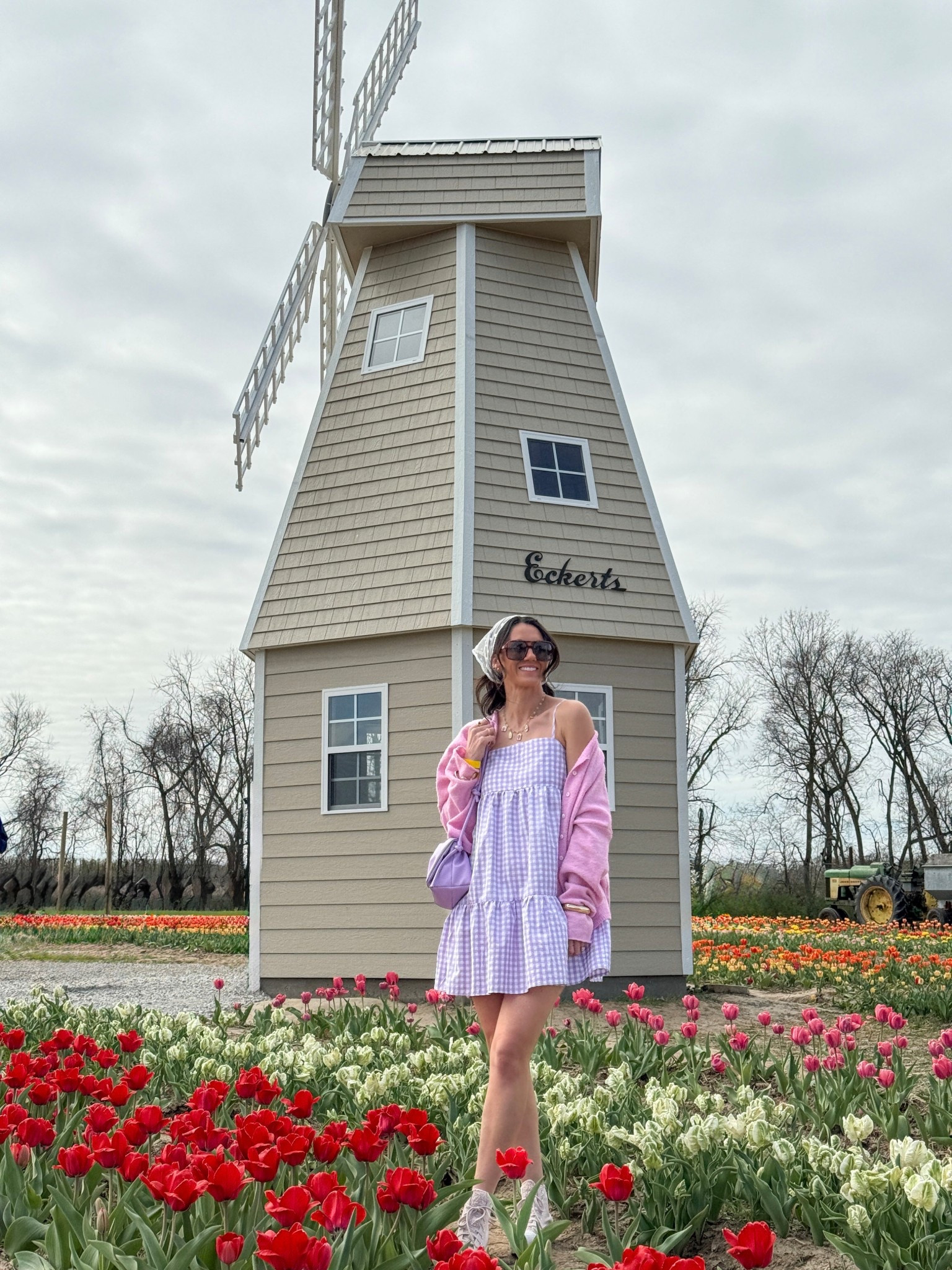 Gingham
Mini dress
Purple 

#LTKootd #LTKSeasonal #LTKFestival