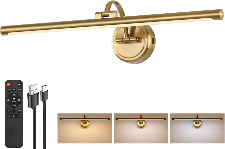Picture Light for Wall, Dimmable Battery Operated Art Light, Picture Frame Light with Remote & Ti... | Amazon (US)