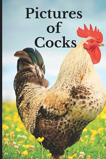 Pictures of Cocks: Funny White Elephant, Yankee Swap, Secret Santa Gift, (Stupid Gifts Ideas) | Amazon (US)