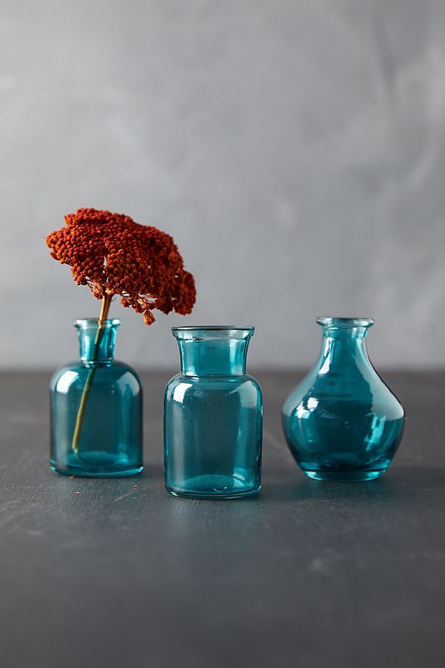 Bottle Bud Vases, Set of 3 | Anthropologie (US)