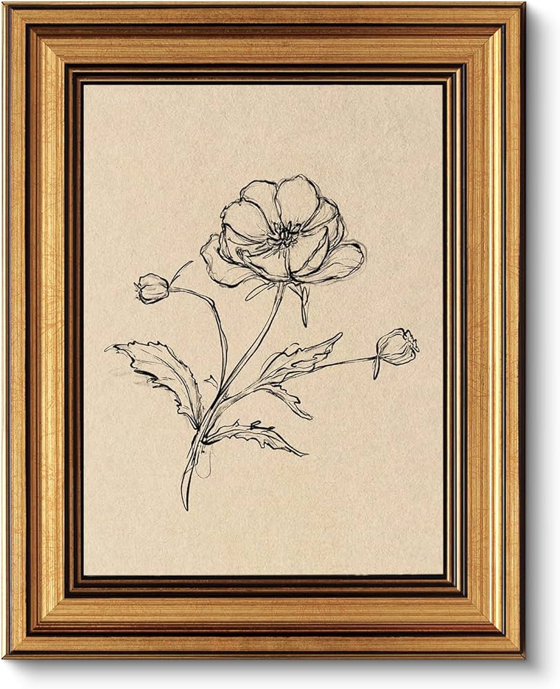 VIYYIEA Vintage Gold Framed Wall Art for Living Room, Poppy Canvas Prints Home Decor, Sketch Pain... | Amazon (US)