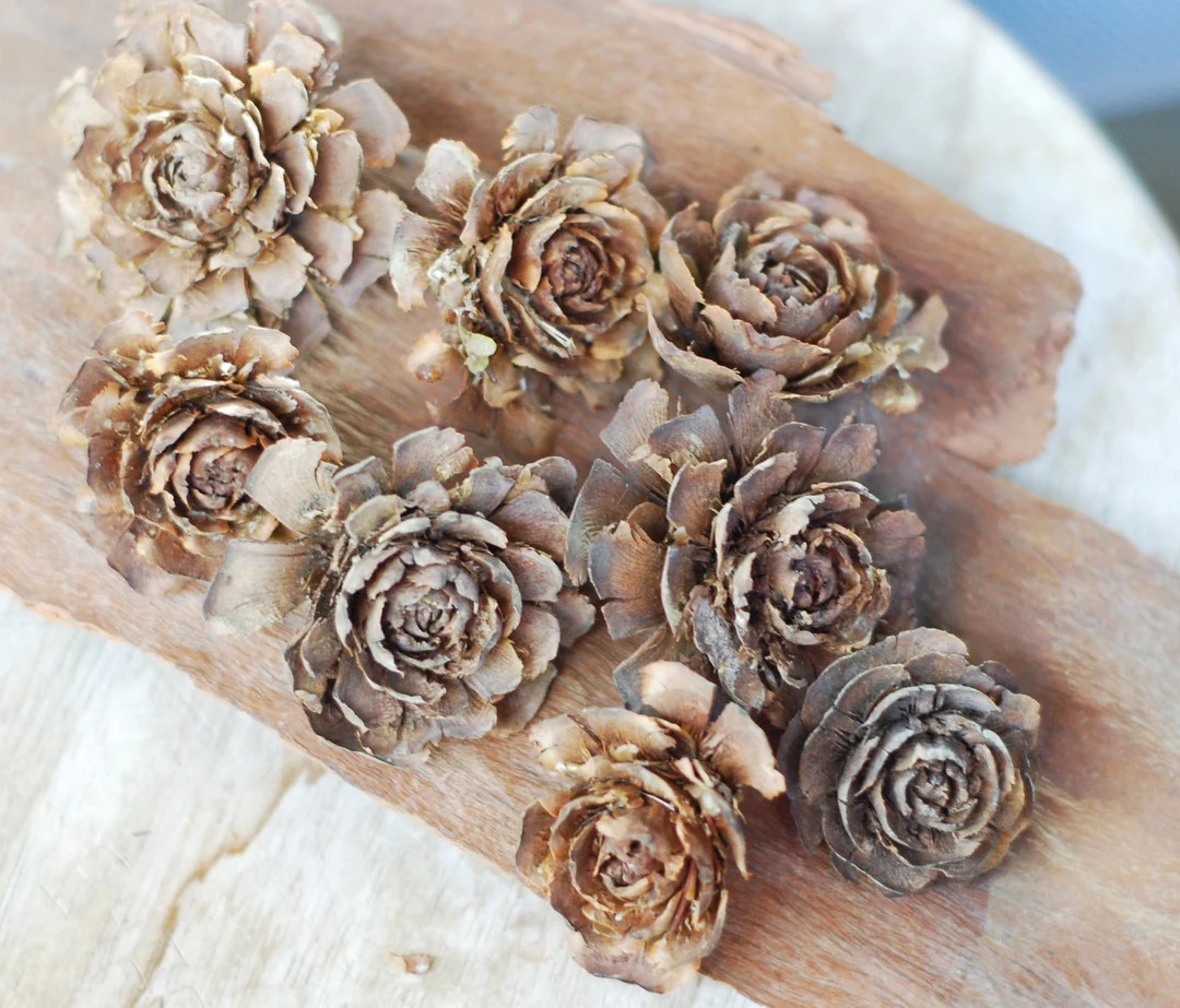 Weathered Cedar Rose, Deodar Cedar Cones, Wreaths Crafts Potpourri Hobby Ornament Natural Decor F... | Etsy (US)