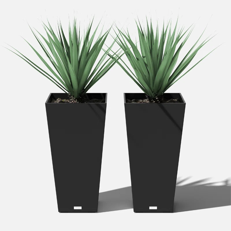 Veradek Pure Series Midland Planter & Reviews | Wayfair | Wayfair North America