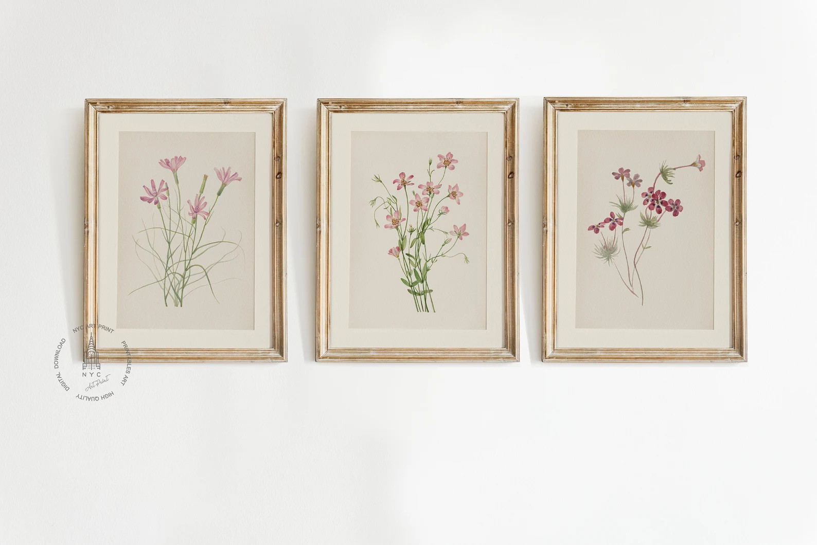 Vintage Botanical Prints Gallery Wall Set of 10, Pink Floral Poster, Botanical Prints, Antique Bo... | Etsy (US)