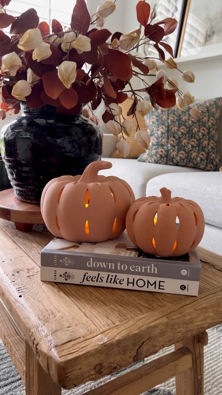 If want simple, inexpensive fall decor, this is it!!!! How cute are these little terracotta pumpkin tea light holders! They come in this color and white. I like to just put them on a couple books and that’s it! Beautiful!! #falldecor 

#LTKSeasonal #LTKsalealert #LTKhome