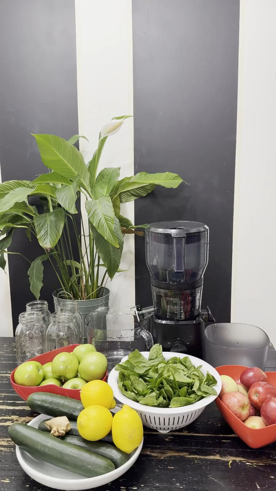 If you’ve ever said “I want to juice more,” this is the tool that makes it happen 🥕💚
A powerful juicer saves time, reduces waste, and turns fruits and veggies into something you’ll actually look forward to drinking.
I added the exact juicer I use to LTK so you can upgrade your routine with ease.

#juicingmadeeasy #juicerfavorites #wellnessjourney #healthyathome #juiceprep #kitchenupgrade #LTKhome #LTKfinds #LTKsale #shoppingmusthaves #onlineshopping #healthyinspo #ShoppingWithPriiincesss #Atlantamom #AtlantaCreator #Atlantacontentcreators

#LTKfitnessgoals #LTKGiftGuide #LTKHoliday