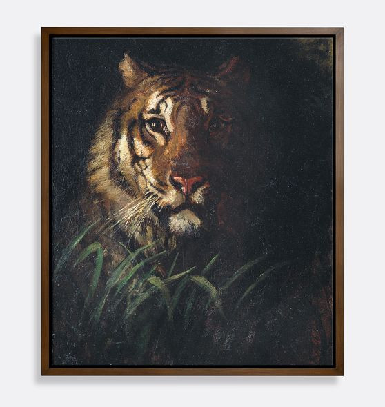 Tiger's Head by Abbot Handerson Thayer Framed Reproduction Wall Art Print | Rejuvenation