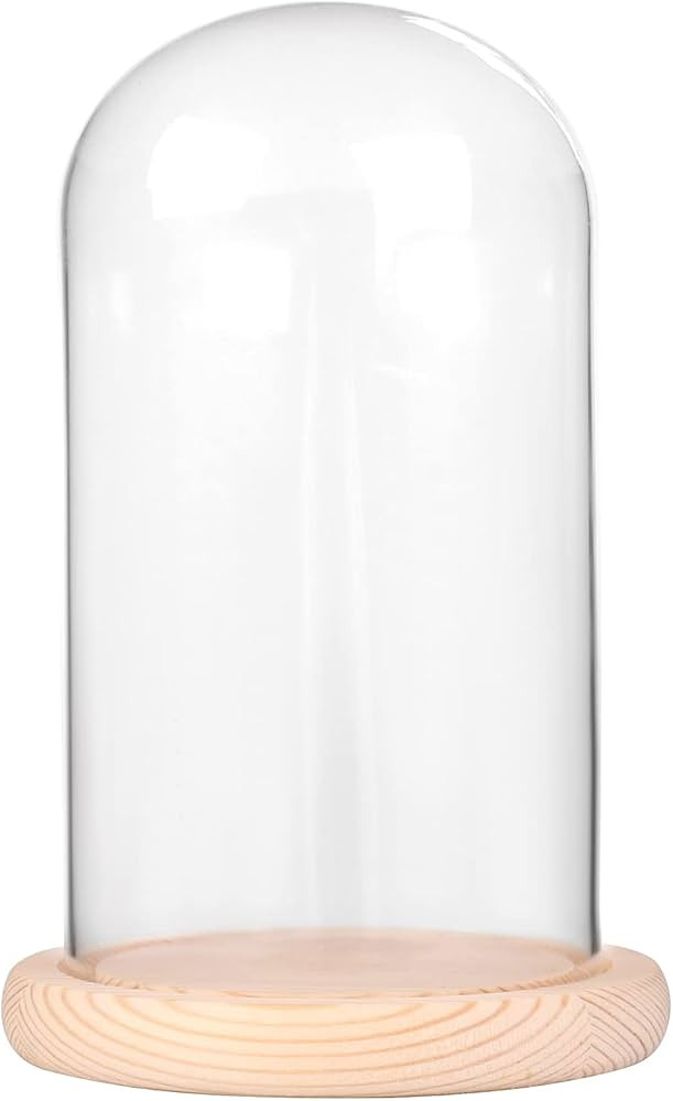 Ivolador 7" x 4" Glass Display Cloche Dome with Solid Wood Base Large Size Office Home Decoration | Amazon (US)