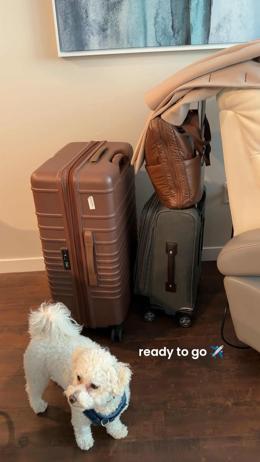 All packed and ready to go ✈️

#LTKTravel #LTKFindsUnder100 #LTKvlog