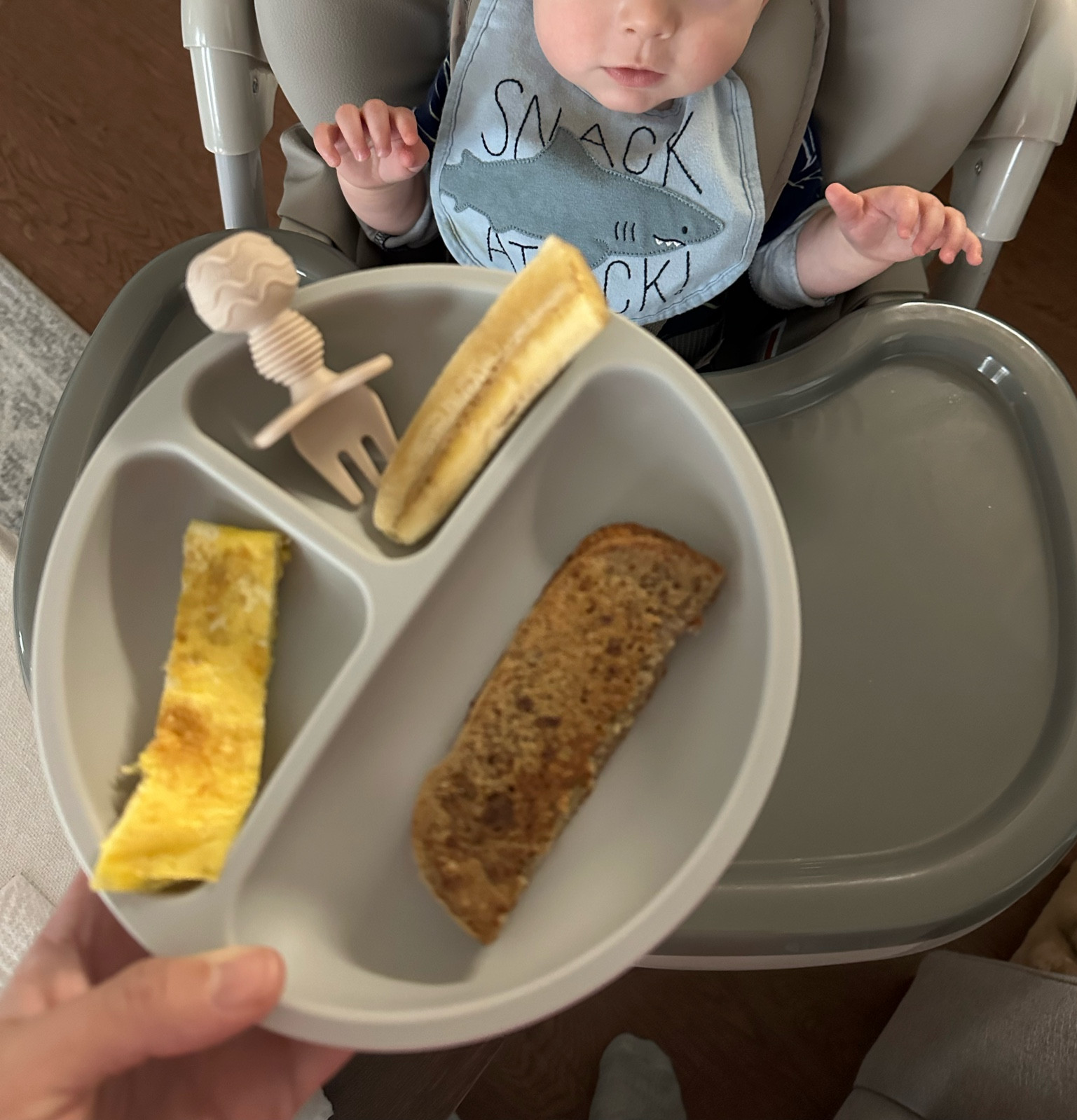 Baby plates, baby silverware, suction plates, BLW, baby gift, baby registry 

#LTKfamily #LTKbaby #LTKkids