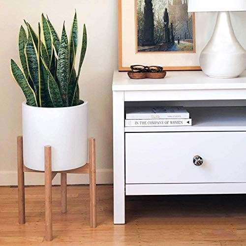 STNDRD. Bamboo Indoor Plant Stand: Mid-Century Modern. for Indoor Potted Plants. Fits 10-inch Rou... | Amazon (US)
