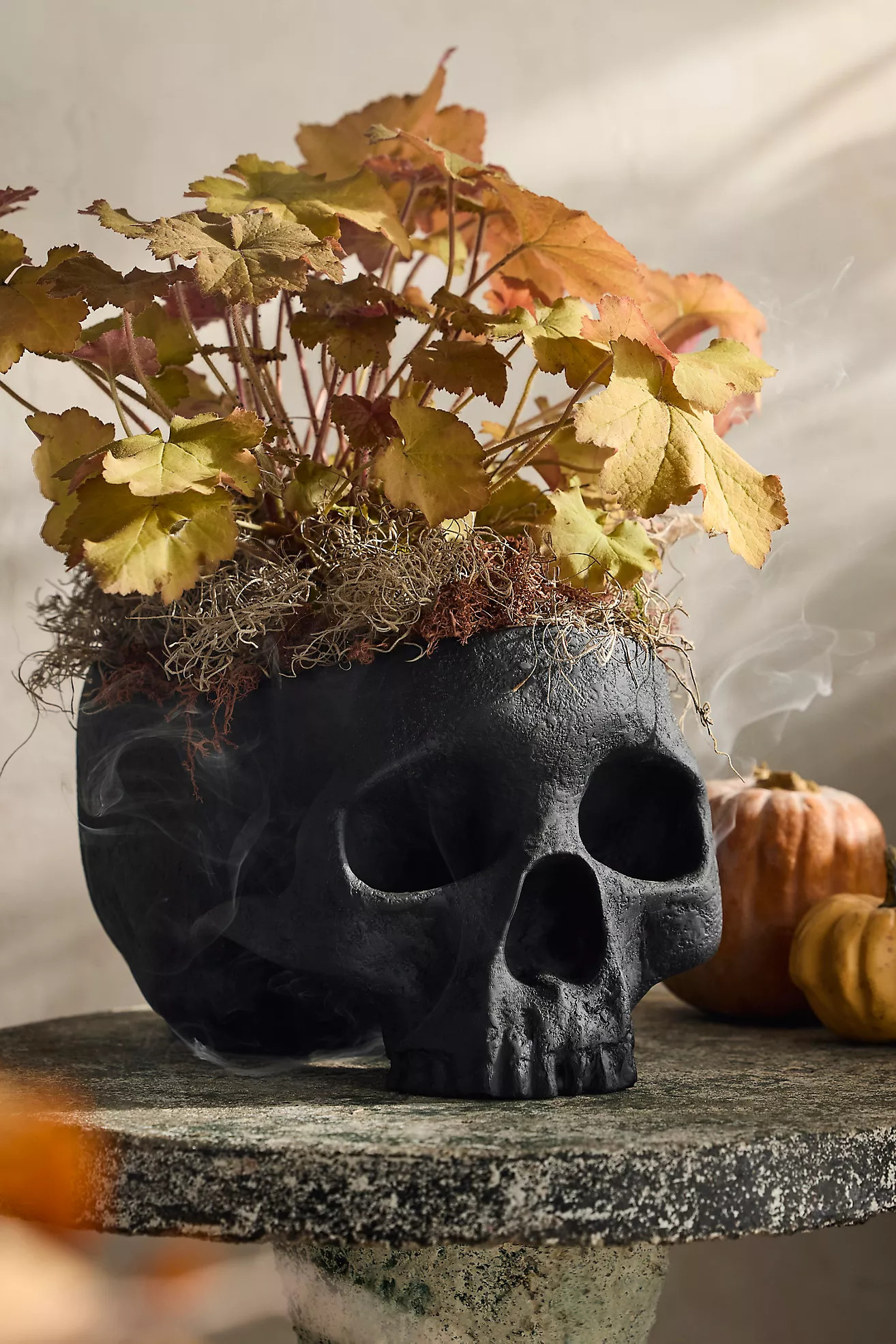 Fiber Stone Skull Planter | Anthropologie (US)