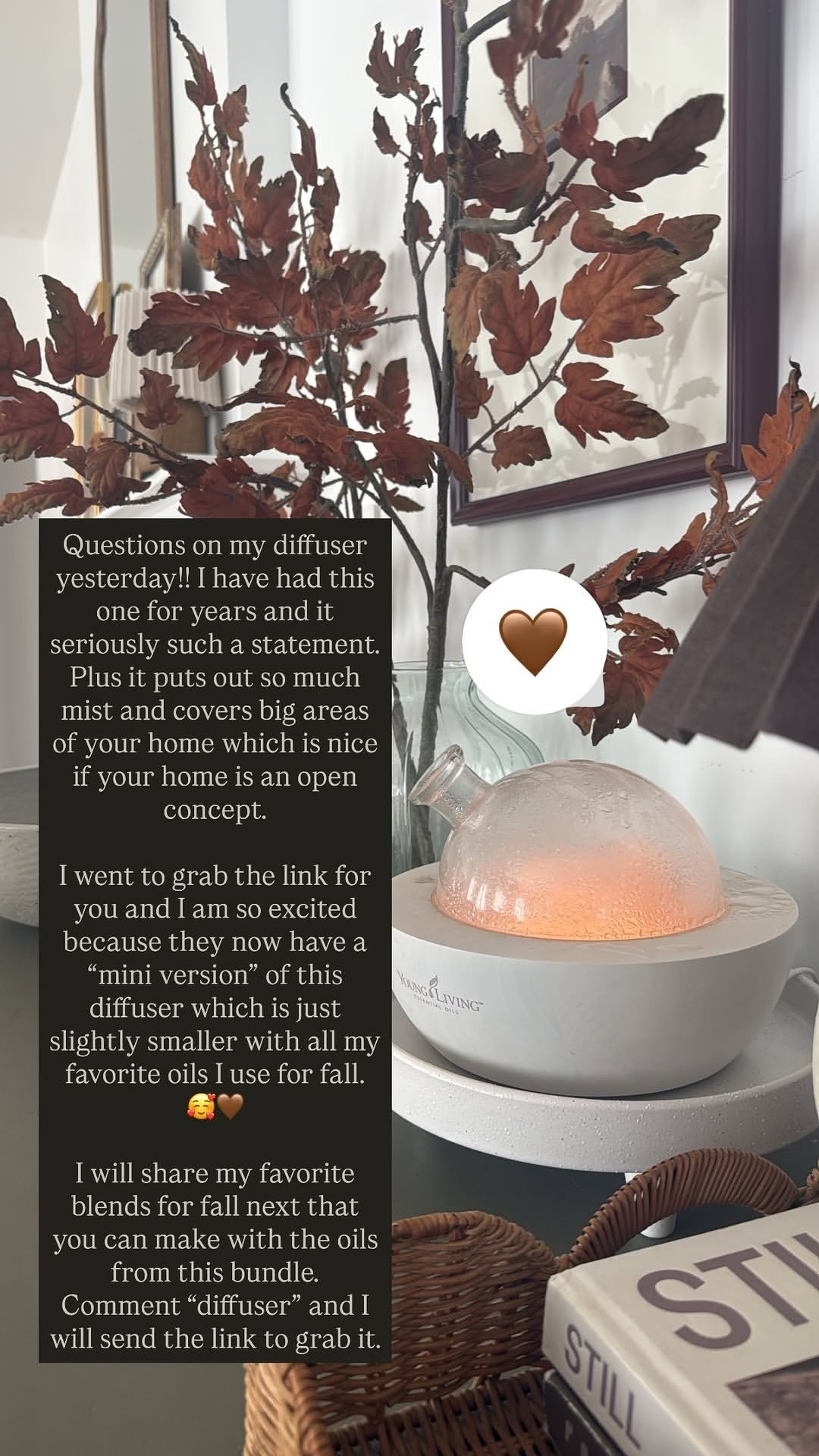 I have had this diffuser for years. It's so powerful, can cover big areas with lots of mist!  

 #LTKSeasonal #LTKHome