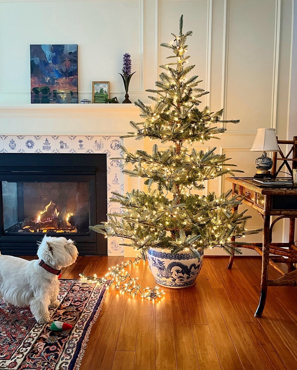 Christmas magic with this beautiful King Noble Fir from King of Christmas. This is the 6 ft unlit and it’s so easy to string yourself or you can order it with lights if that’s easier. I tucked it into a blue and white fishbowl. 

#LTKSeasonal #LTKHome #LTKHoliday