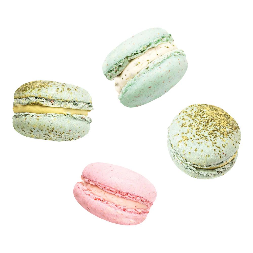 French Macaron Removable Wall Decals | Tempaper
