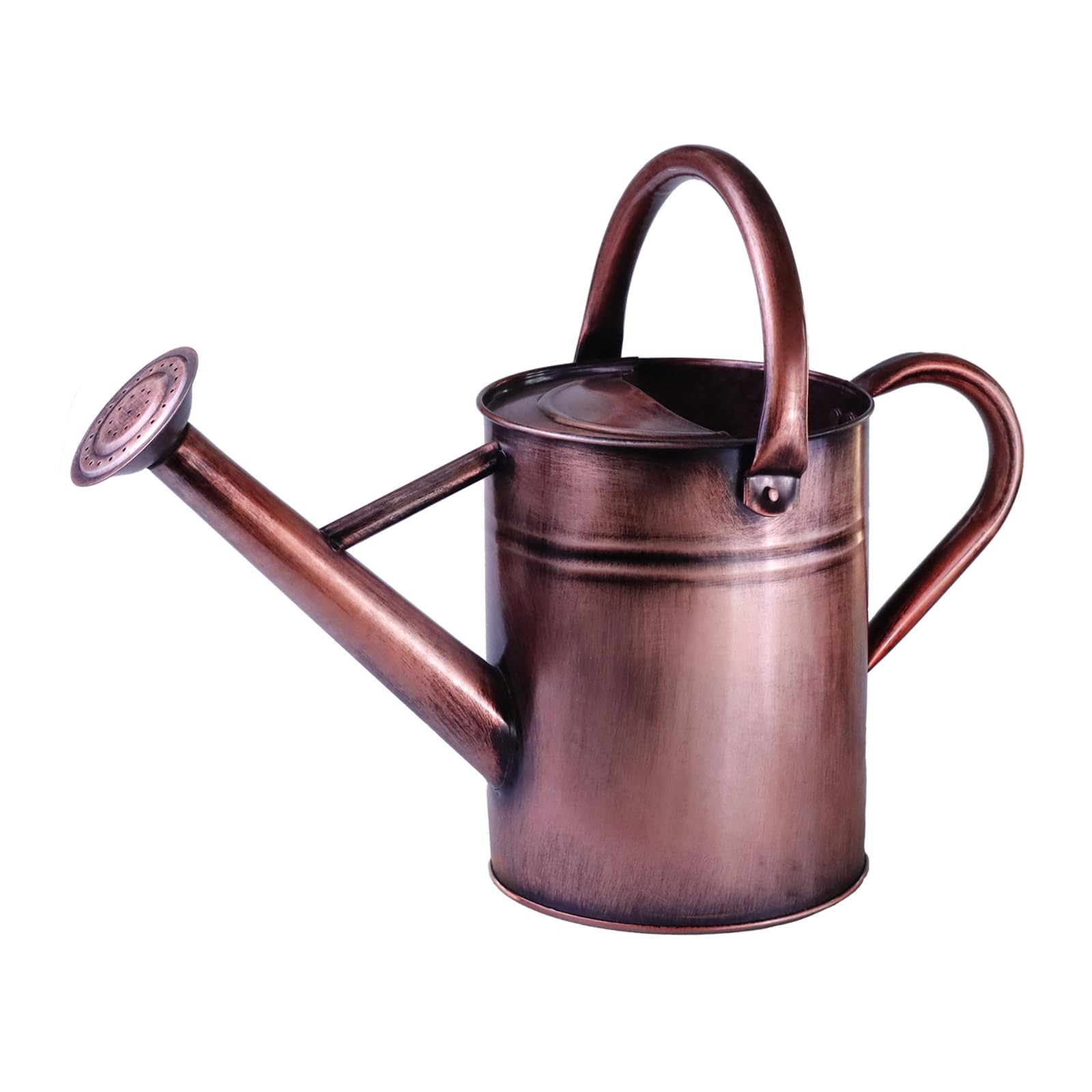 Metal Watering Can for Outdoor Plants, 1 Gallon Galvanized Steel Watering Can with Removable spou... | Amazon (US)