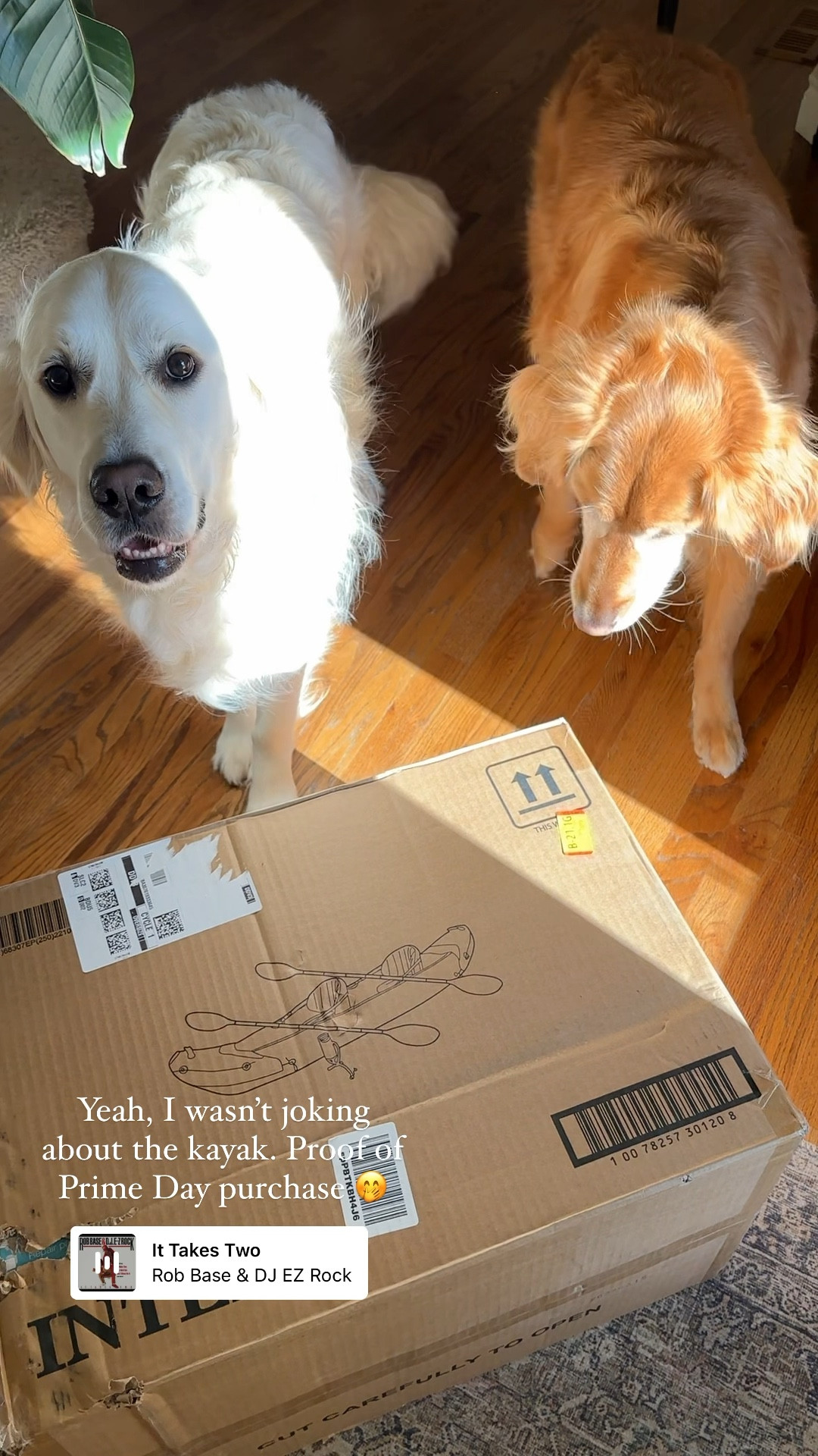 Oh my goodness, my Prime Day purchase arrived today! This kayak set is still discounted after the sale ended. Got ours for $80 - I know, yoo hoo big summer blowout! Tap into the product image below to see the original price and go on, get 🚣🏻‍♀️

#LTKsalealert #LTKSeasonal