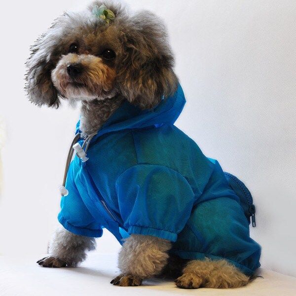 The Ultimate Waterproof Thunder-paw Adjustable Zippered Folding Travel Dog Raincoat | Bed Bath & Beyond