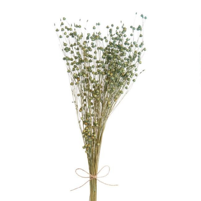 Dried Indigo Flax Bunch | World Market