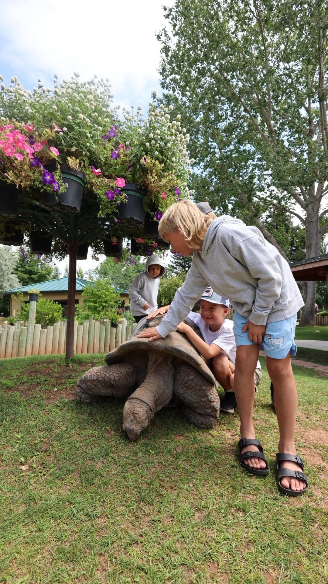 A&F sweat sets are on major SALE rn and my boys live in these!! 40% sitewide plus when you use code AFKATHLEEN you’ll get an extra 20% off 💃🏻

#LTKSaleAlert #LTKKids