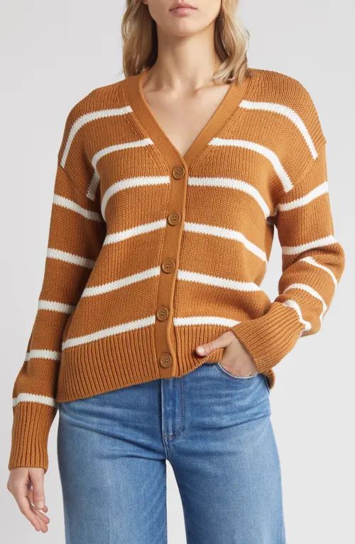 caslon(r) Pima Cotton Cardigan in Tan Sugar- Ivory Cloud Stripe at Nordstrom, Size Large | Nordstrom