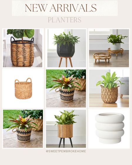 Planter, stands and baskets. Affordable planters. #boho #basket #mybhg #betterhomes

#LTKfindsunder50 #LTKfamily #LTKhome