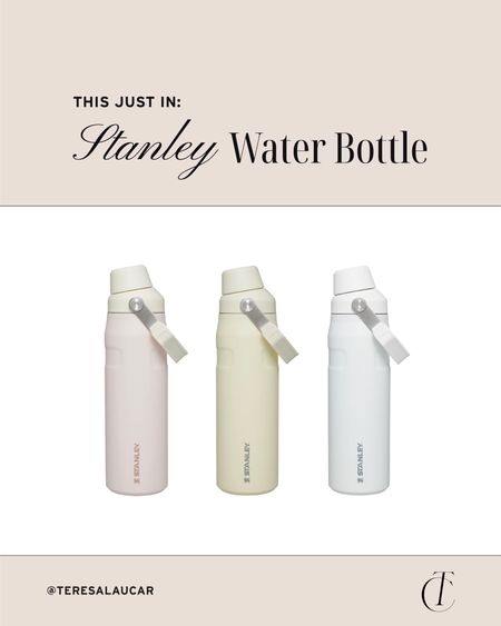 Stanley water bottles 

#LTKfindsunder100 #LTKfindsunder50 #LTKGiftGuide