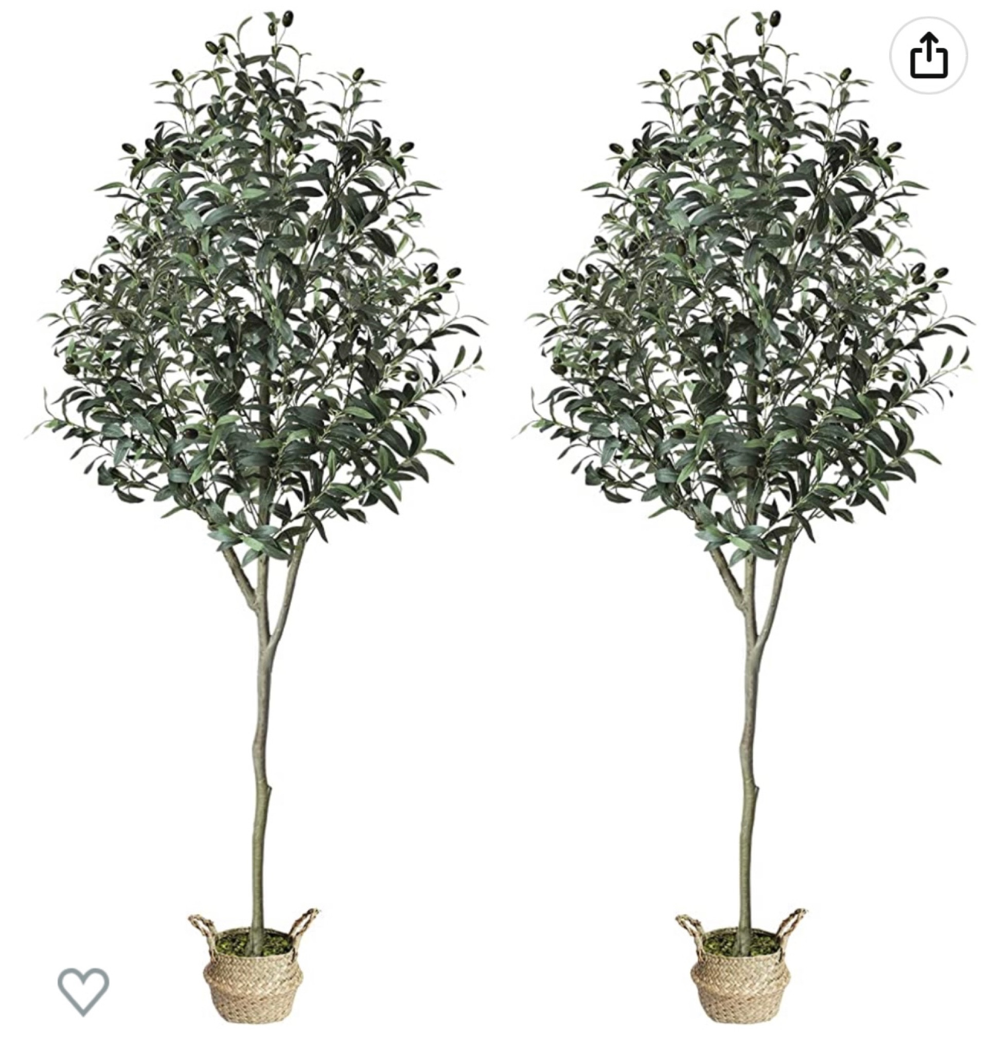 Olive Tree Set of 2 —under $130!

#LTKFind #LTKhome