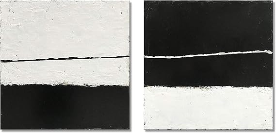 Diathou Minimalist Oil Painting Wall Art 20x20in 2pcs 100% Hand-Painted Black and White Abstract ... | Amazon (US)