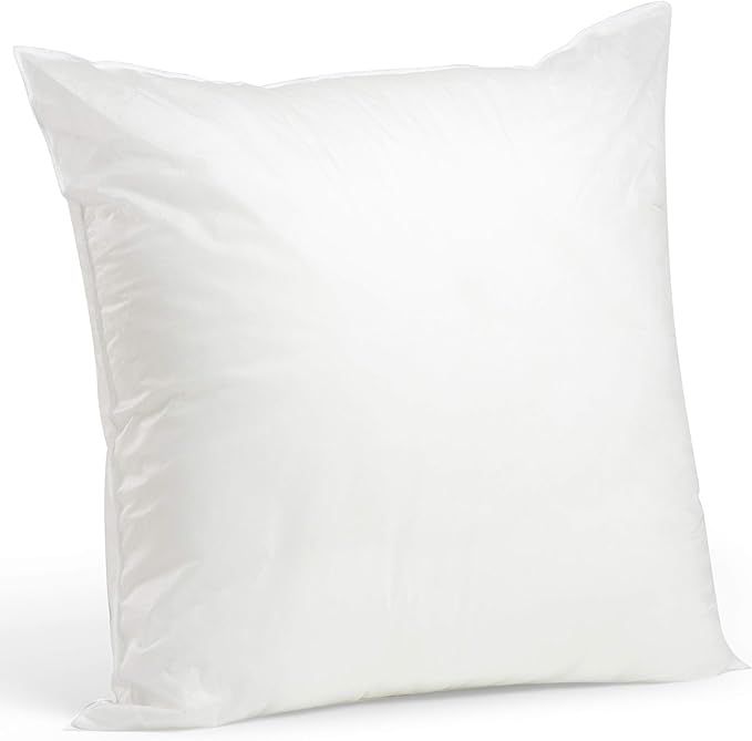 Foamily Throw Pillows Insert 28 x 28 Inches - Bed and Couch Decorative Pillow - Made in USA - Bed... | Amazon (US)