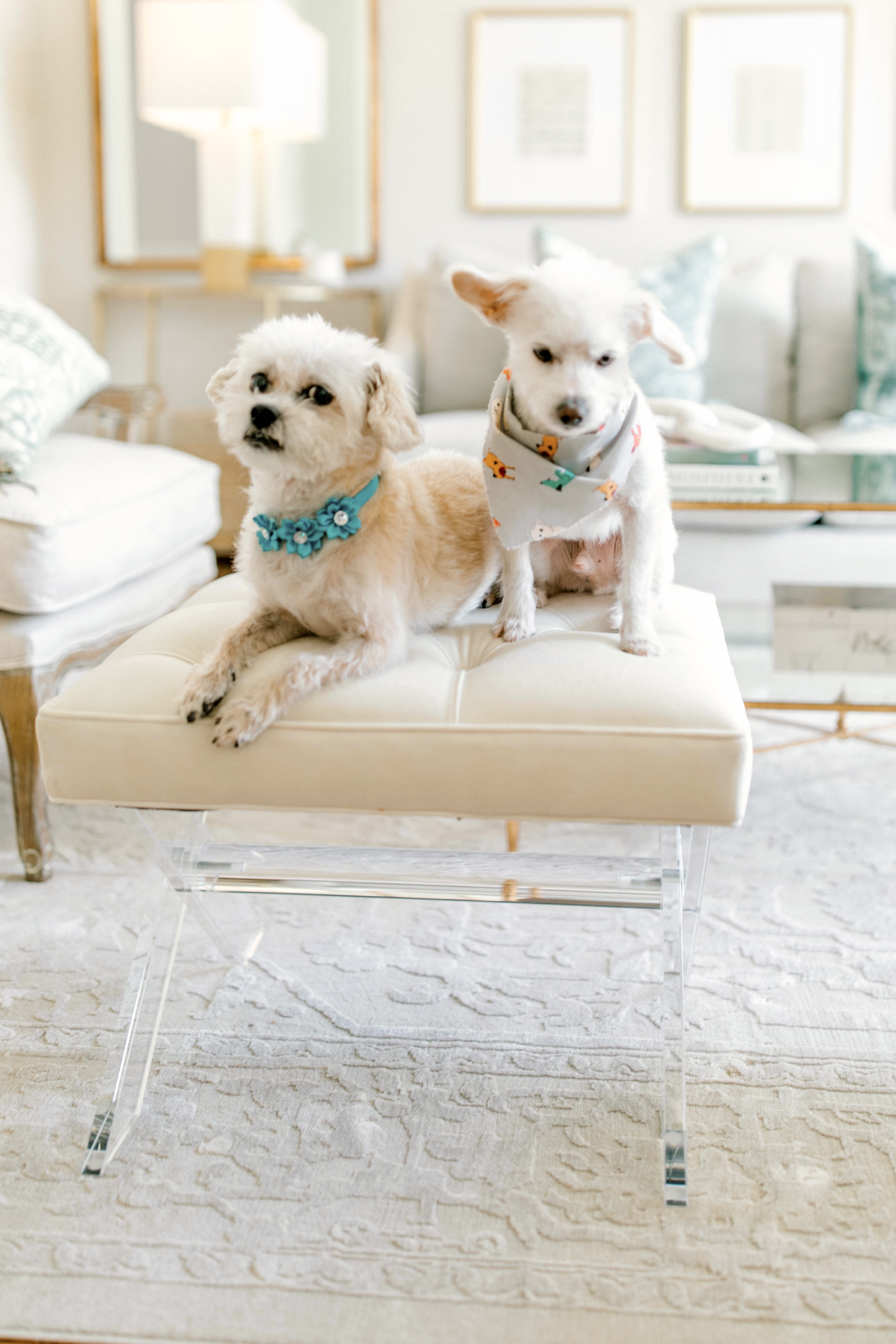 Love my cream velvet acrylic ottoman! 

#LTKSeasonal #LTKSaleAlert #LTKHome