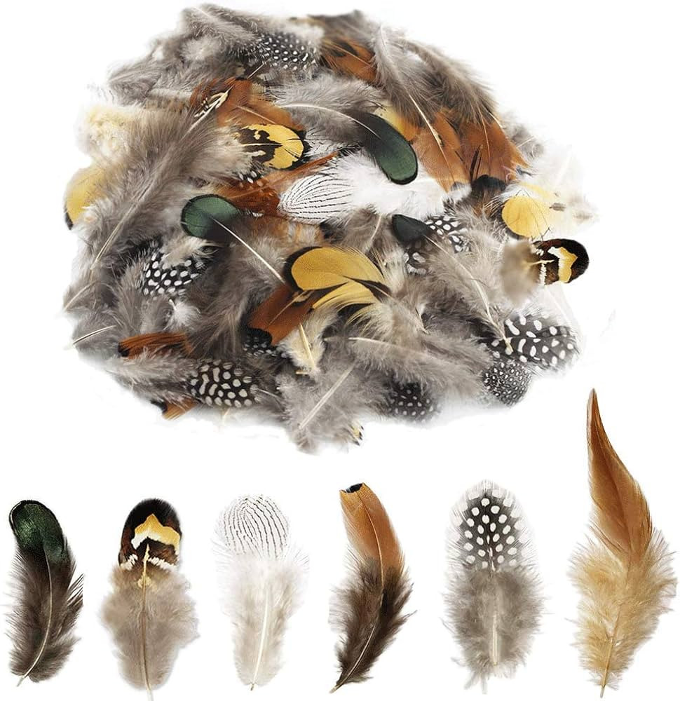 180pcs 6 Style Natural Feathers Assorted Mixed Feathers for Dream Catcher Crafts Decoration (6 St... | Amazon (US)