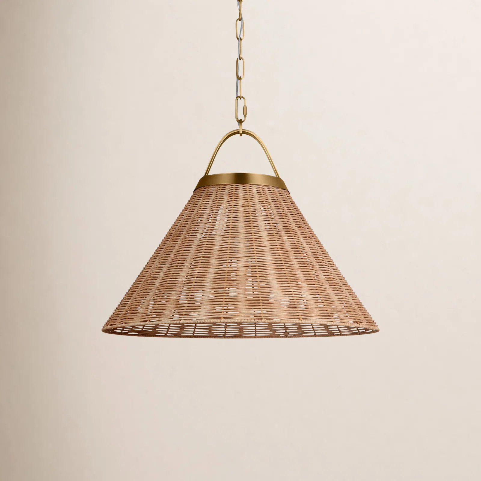 Darnaja Single Light Rattan Steel Dimmable Pendant | Birch Lane