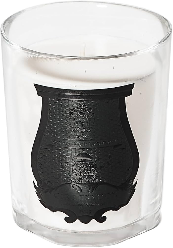 Amazon.com: Trudon, Giambattista Valli Rose Poivree Classic Candle : Amazon Luxury | Amazon (US)