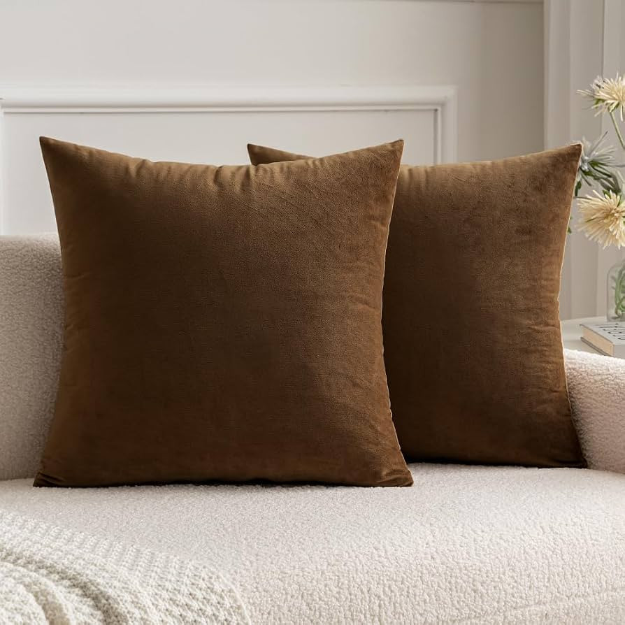 MIULEE Velvet Throw Pillow Covers 16x16 Inch Pack of 2 Chocolate     Soft Solid Small Decorative ... | Amazon (US)