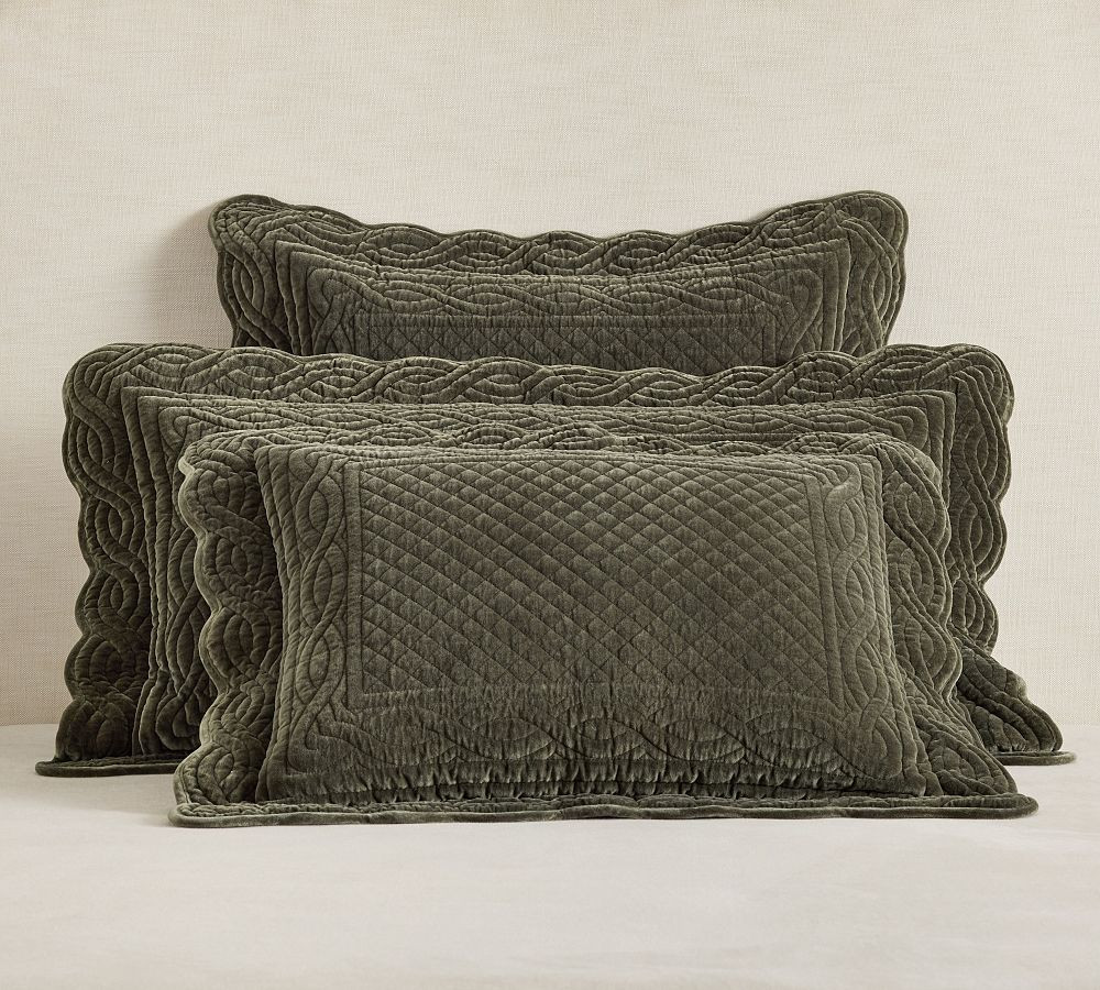Velvet Heirloom Quilted Shams | Pottery Barn (US)