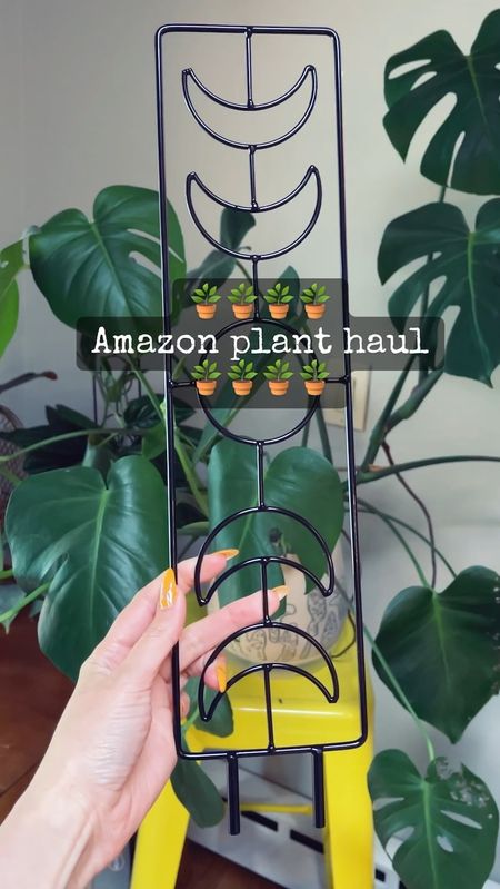 🍄🪴 Sharing some indoor plant accessories I ordered recently.🪴🍄

What I got:
Plant trellis
Mushroom watering globes
Moss pole
Fungus gnat spray



#LTKhome #LTKSeasonal #LTKFind