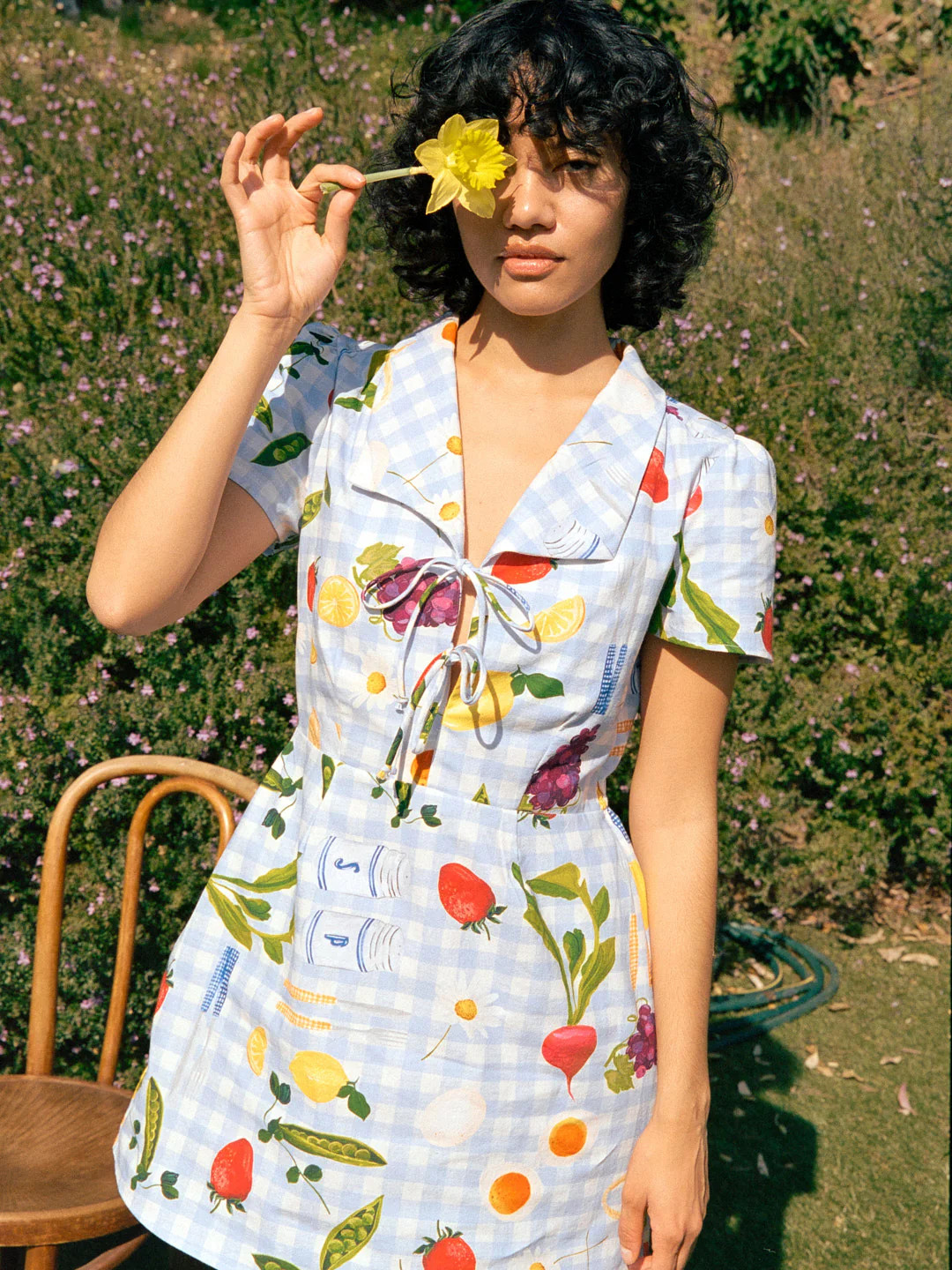 Alexa Shirtdress - Picnic Alfresco | Lisa Says Gah