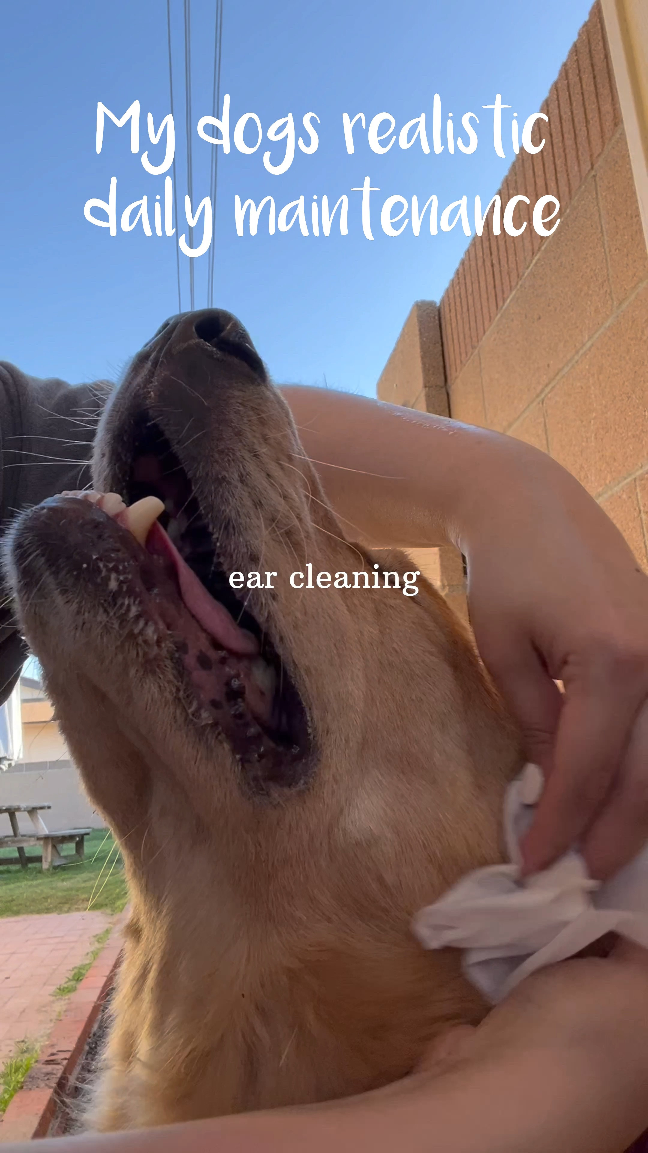 Maintenance is key especially for pesky ear infections 

#LTKVideo #LTKfamily #LTKhome