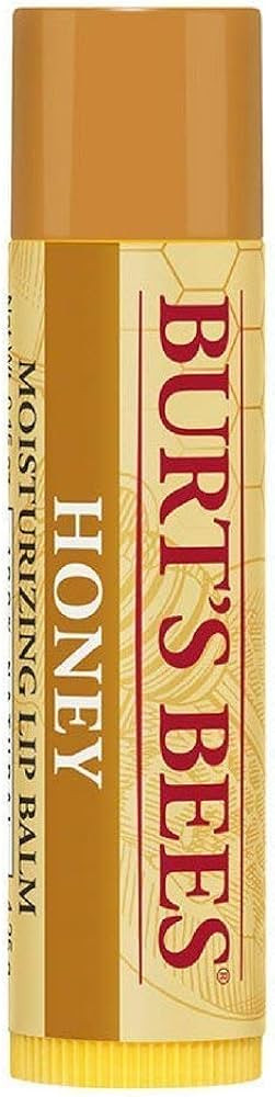 Burt's Bees Honey Moisturizing Lip Balm 0.15 oz (Pack of 6) | Amazon (US)