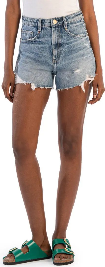 KUT from the Kloth Taylor High Waist Cutoff Denim Shorts | Nordstrom | Nordstrom