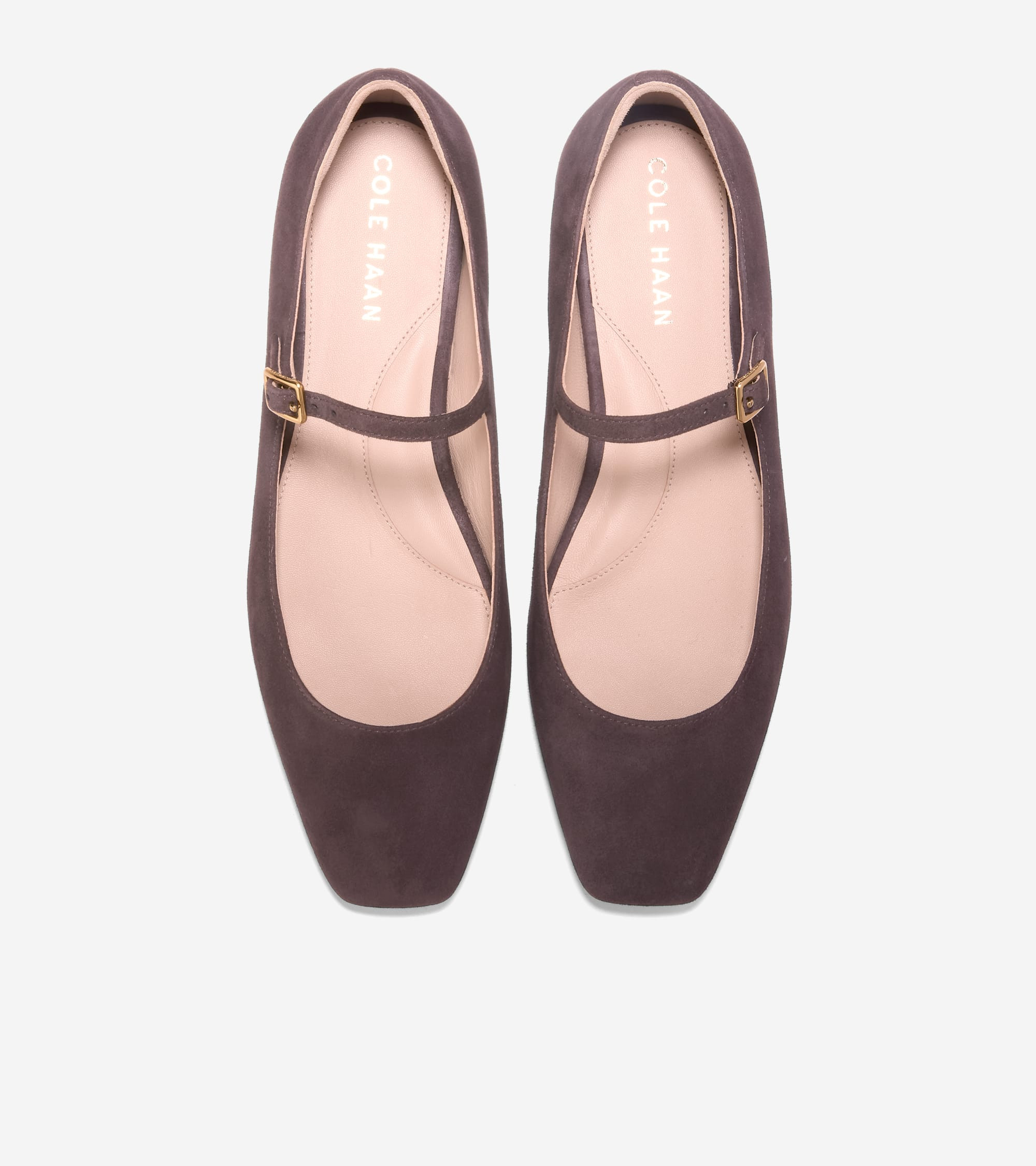 Women's Bridge Mary Jane Ballet Flats | Cole Haan (US)