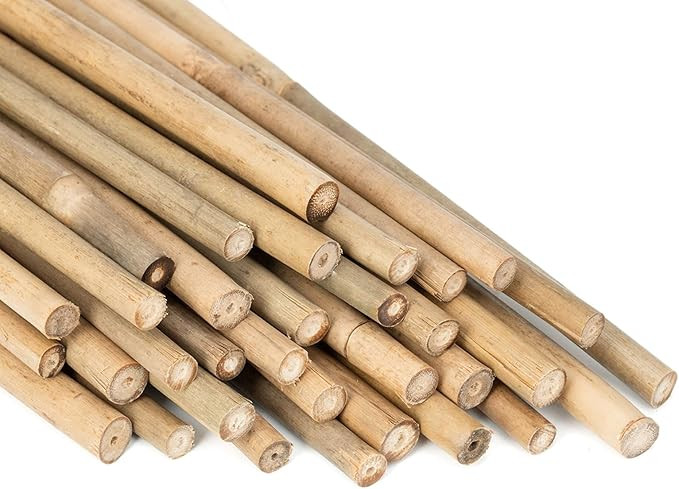 Plant Stakes Natural Garden Bamboo Sticks for Indoor and Outdoor, 20pcs for Tomatoes, Beans, Pott... | Amazon (US)