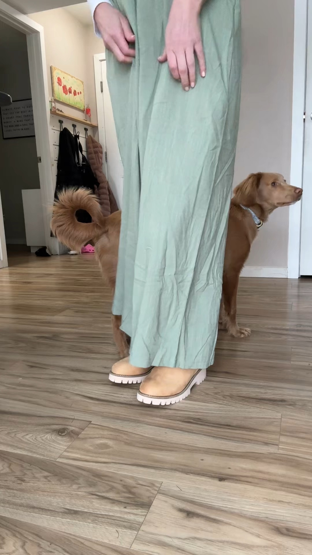 Wide feet girlies? These boots are for you! Plus they are super light weight! I’m wearing size 8wide

#LTKFindsUnder100 #LTKFindsUnder50